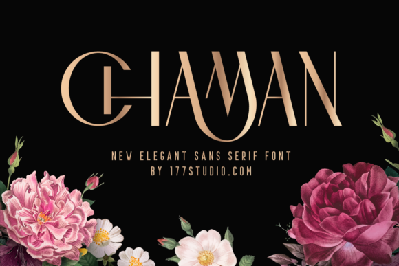 [Creativefabrica] Chaman Elegant Font_0.png